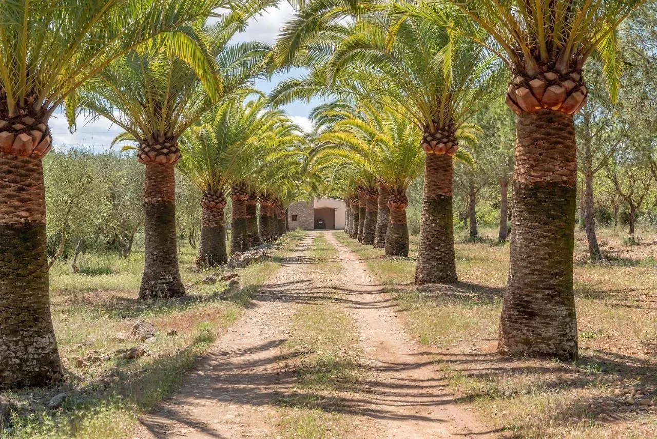 Villa S'Erisal Alaro 0*,  Spain